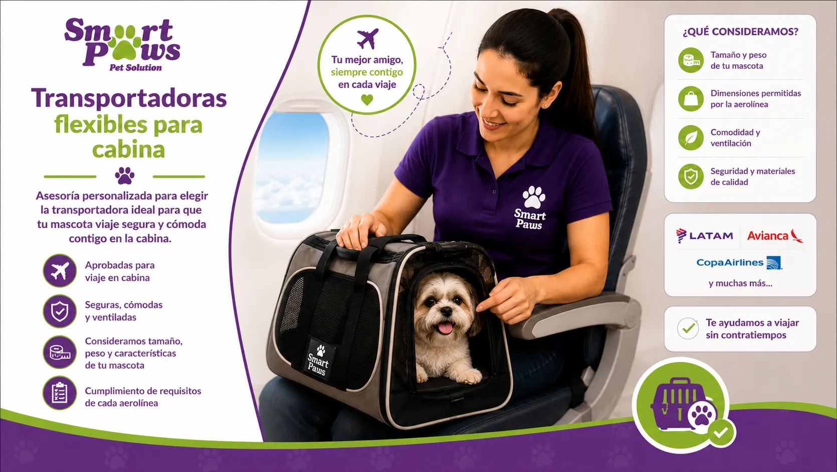 Transportadoras flexibles para cabina