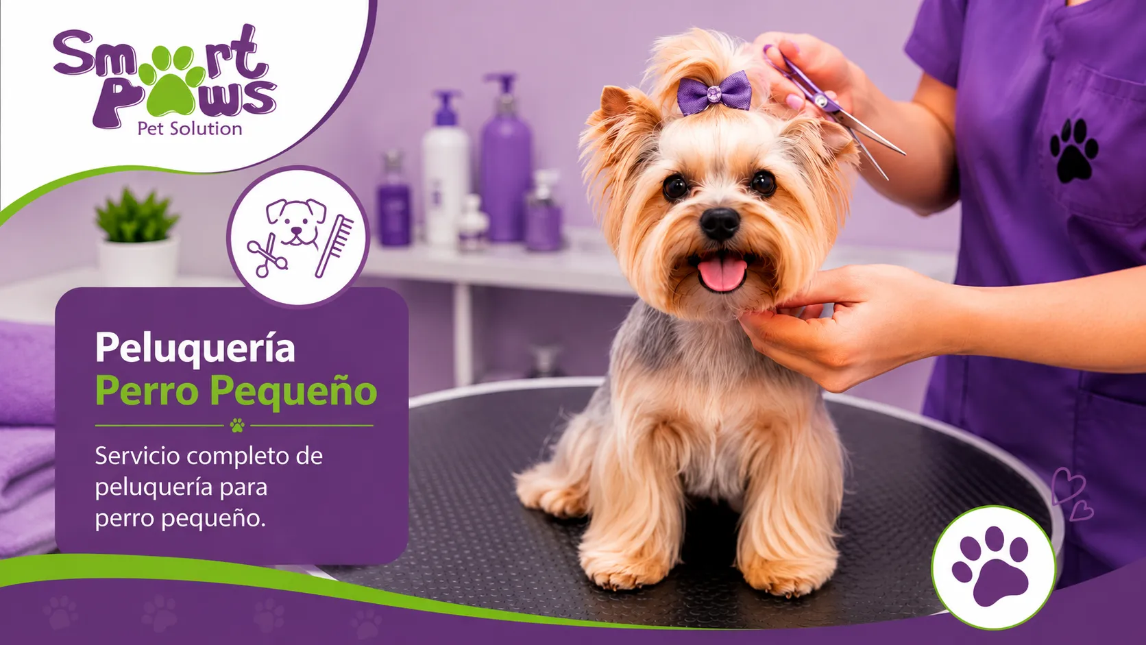 Peluquería perro pequeño