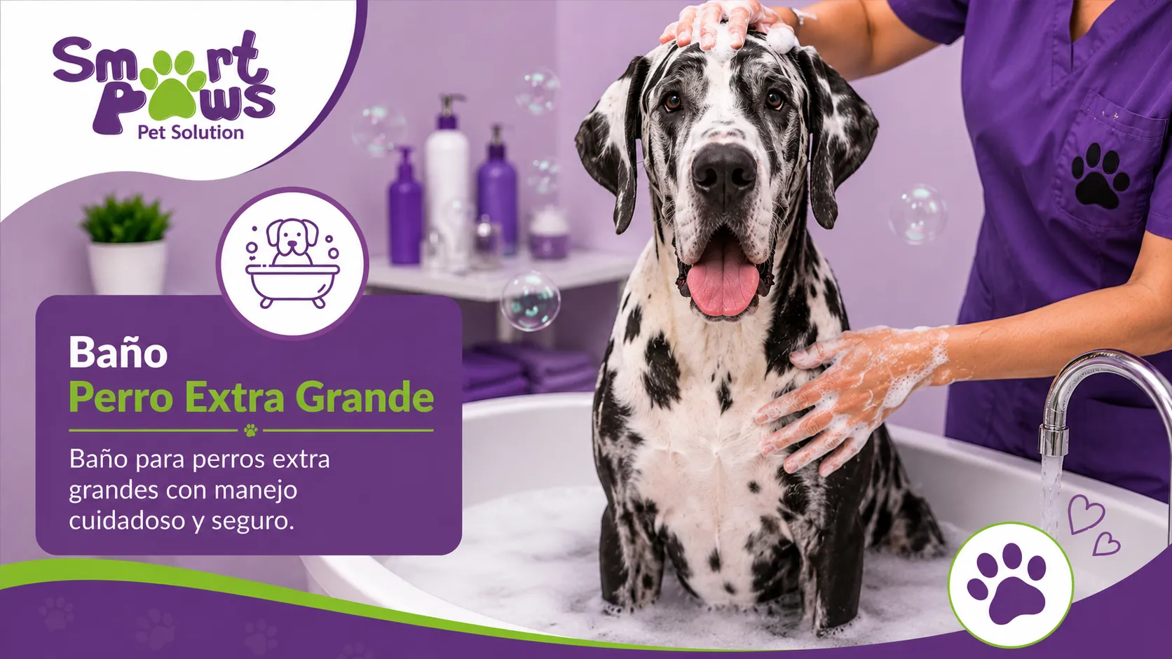Baño perro extra grande