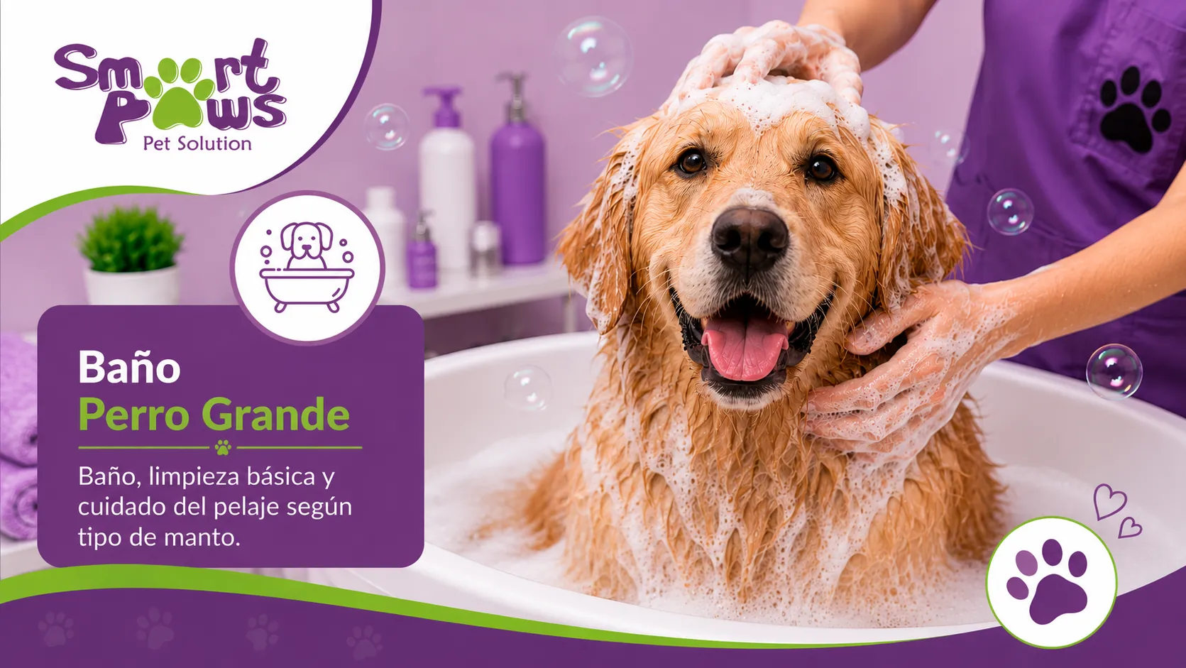 Baño perro grande