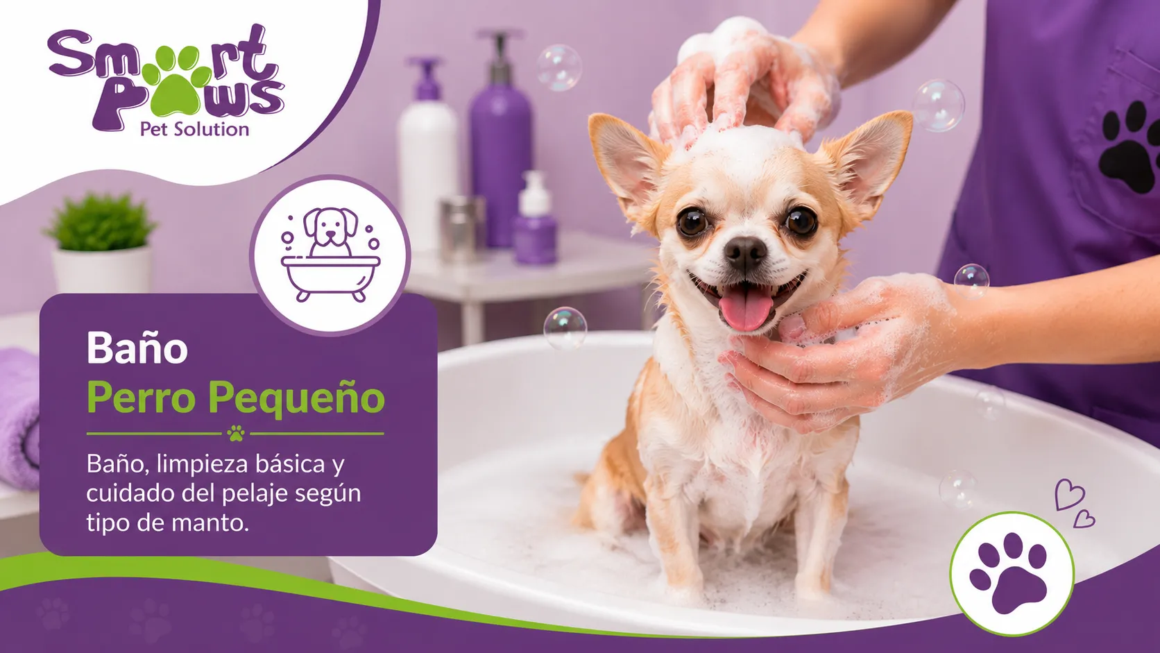 Baño perro pequeño