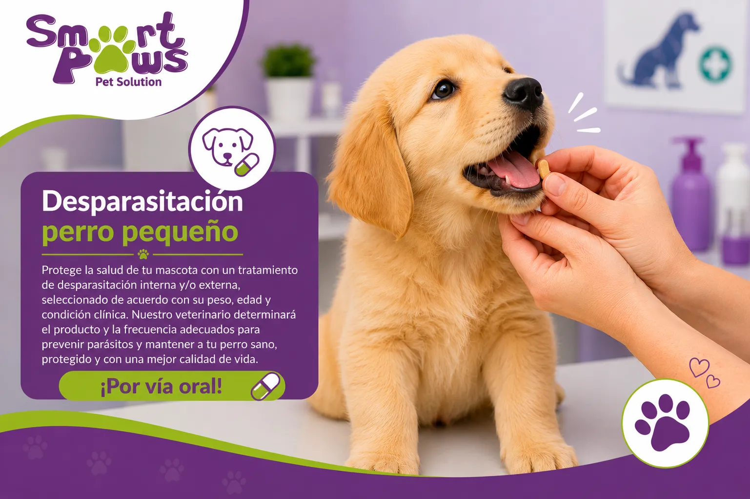 Desparasitación perro pequeño