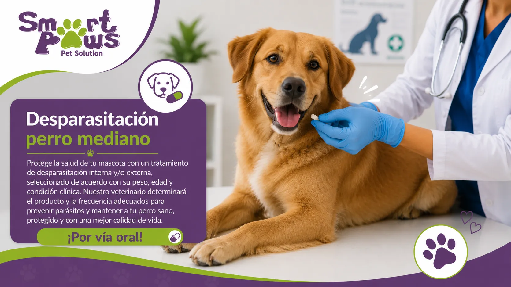 Desparasitación perro mediano