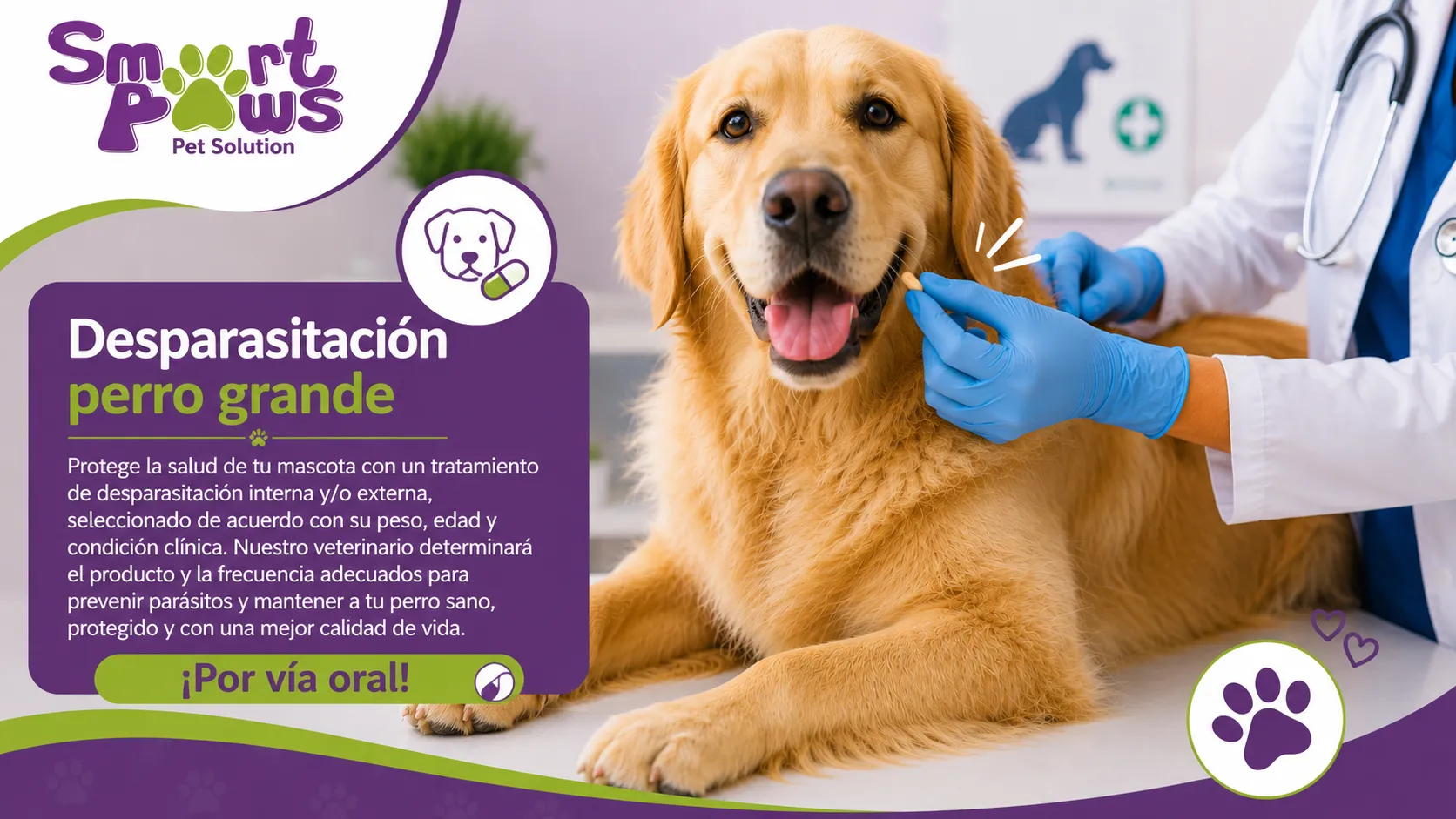 Desparasitación perro grande