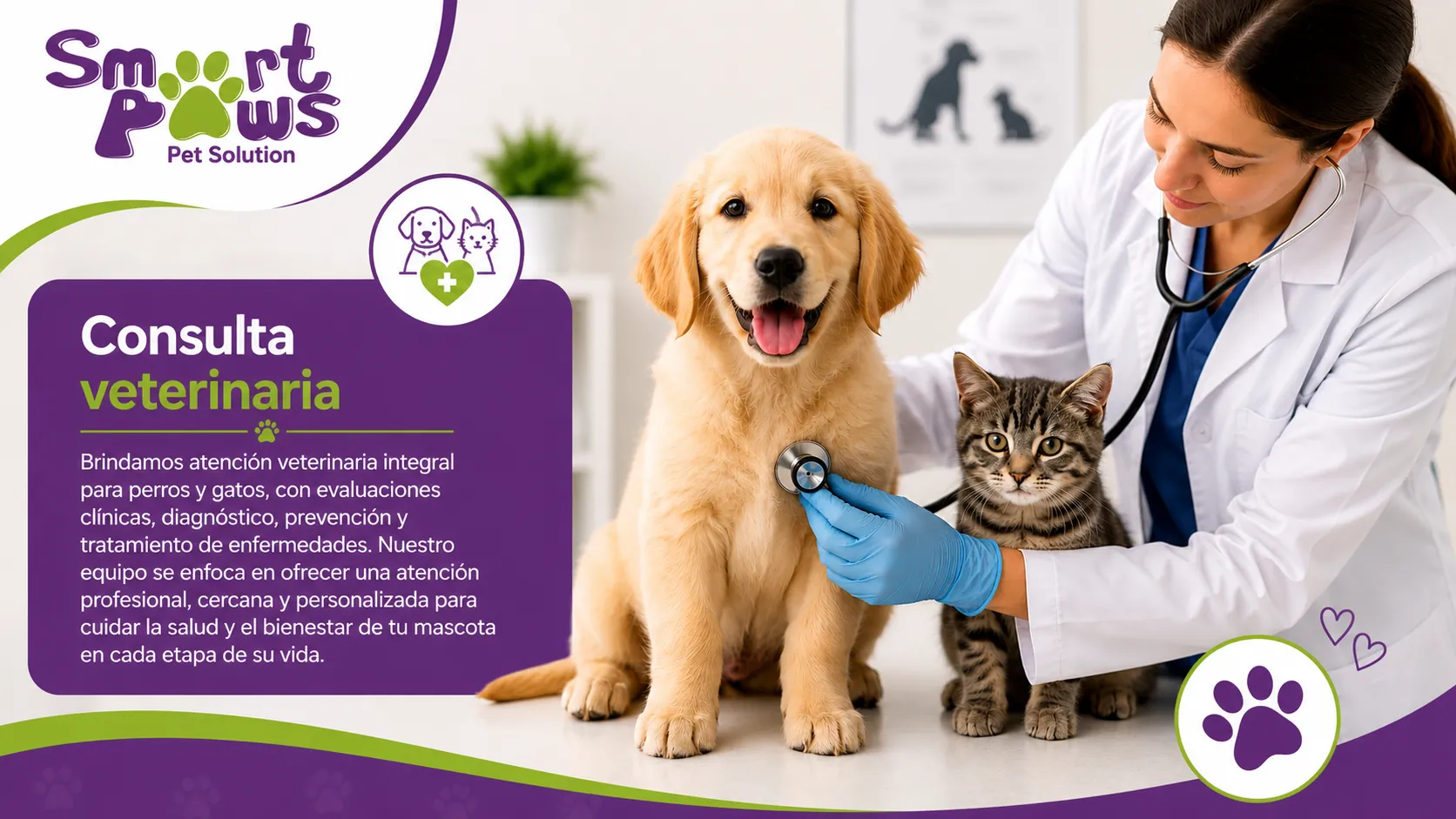 Consulta veterinaria