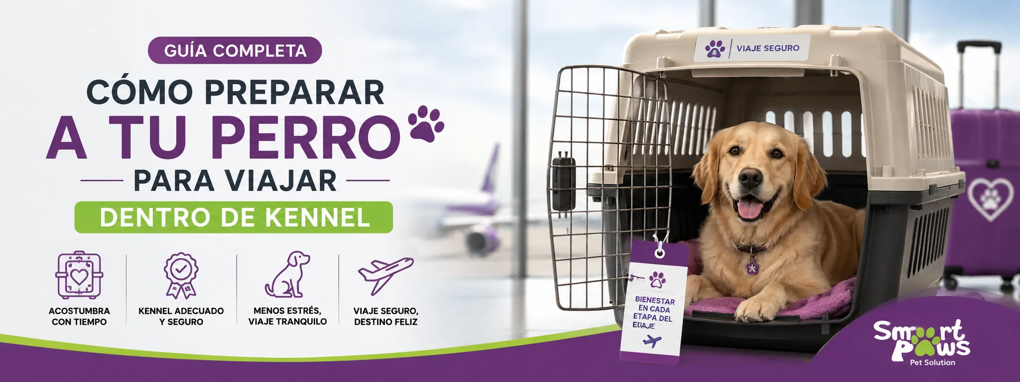 Cómo preparar a tu perro para viajar dentro de un kennel