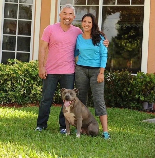 Actividad de adiestramiento canino Smart Paws 4