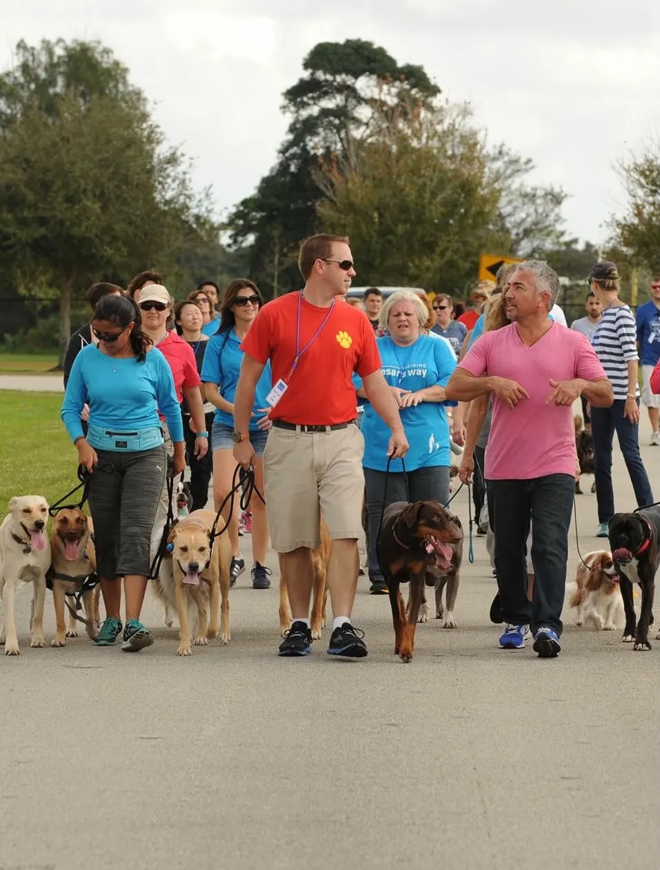 Actividad de adiestramiento canino Smart Paws 3