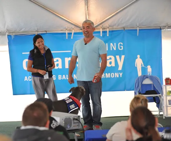 Actividad de adiestramiento canino Smart Paws 2
