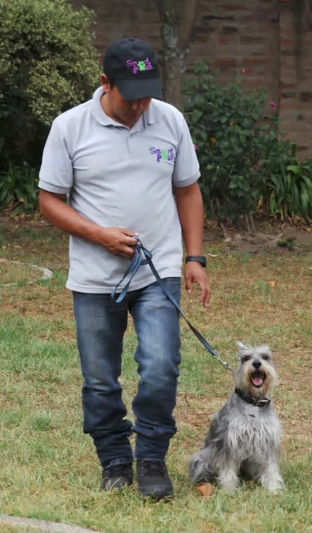 Actividad de adiestramiento canino Smart Paws 9